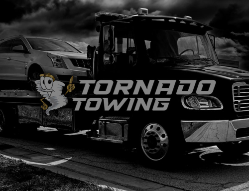 Long Distance Transport in Batavia Illinois